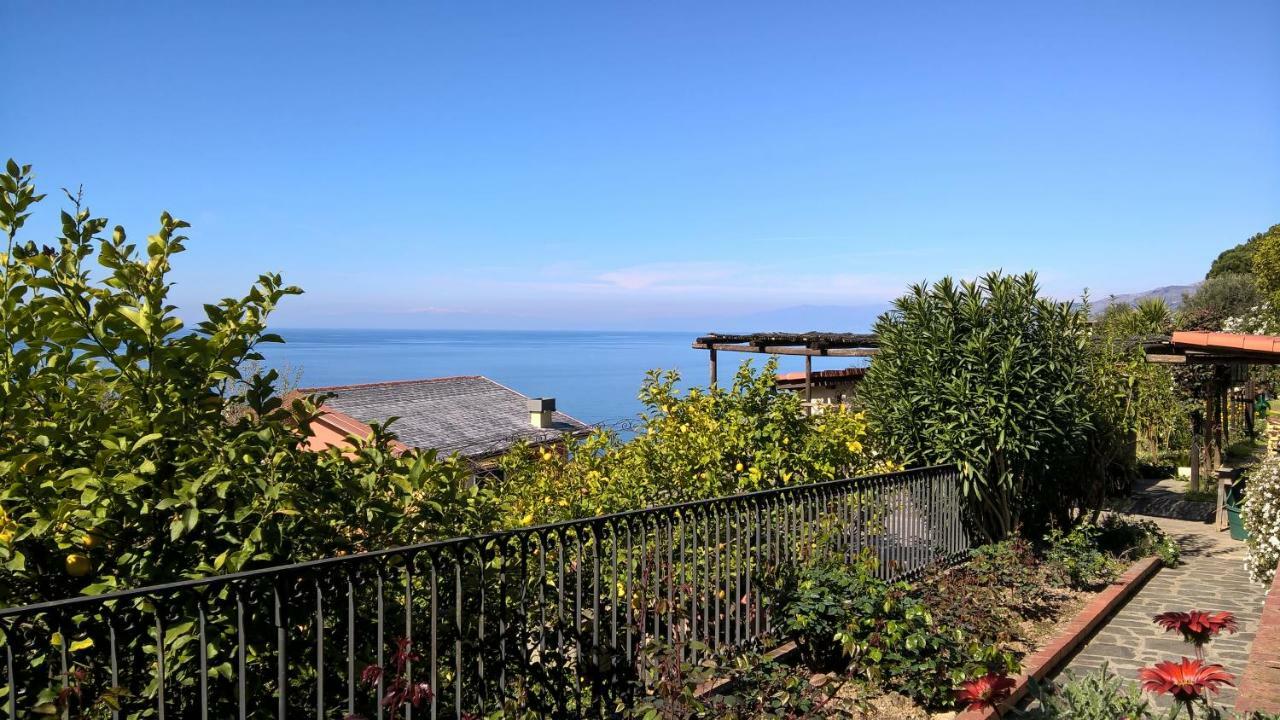 La Depandance Della Nonna Apartment Camogli Exterior photo